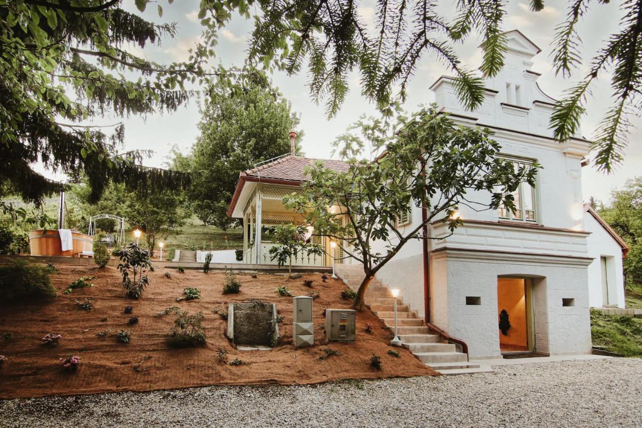 Vila Vilma Vineyard Cottage 렌다바 외부 사진