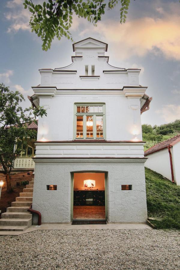 Vila Vilma Vineyard Cottage 렌다바 외부 사진